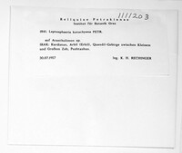 Image Associated With the Occurrence